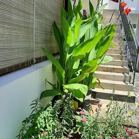 Le Beau Manguier Residence Pereybere Beach Zimmer foto